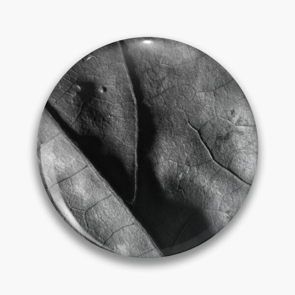 Item preview, Autumn Leaf in B&W (8) designed and sold by Wolf Sverak Photography.