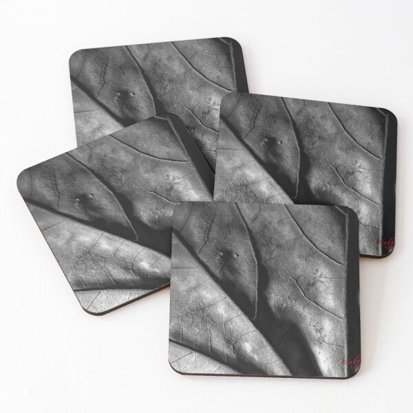 Item preview, Autumn Leaf in B&W (8) designed and sold by Wolf Sverak Photography.