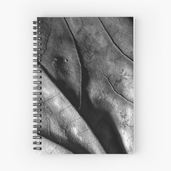 Item preview, Autumn Leaf in B&W (8) designed and sold by Wolf Sverak Photography.