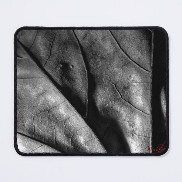 Item preview, Autumn Leaf in B&W (8) designed and sold by Wolf Sverak Photography.