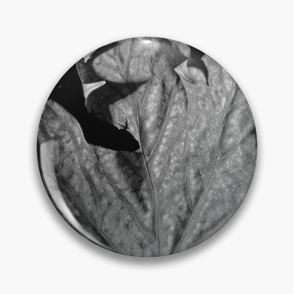 Item preview, Autumn Leaf in B&W (10) designed and sold by Wolf Sverak Photography.