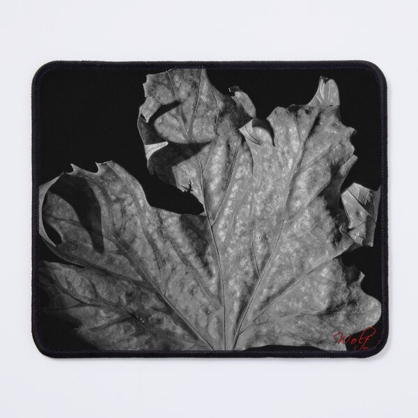 Item preview, Autumn Leaf in B&W (10) designed and sold by Wolf Sverak Photography.