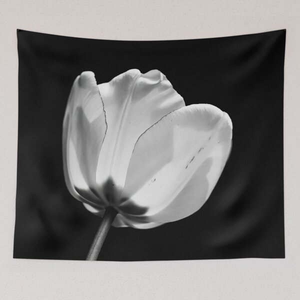 Item preview, The Sun Cup in Black And White designed and sold by Lois  Bryan.