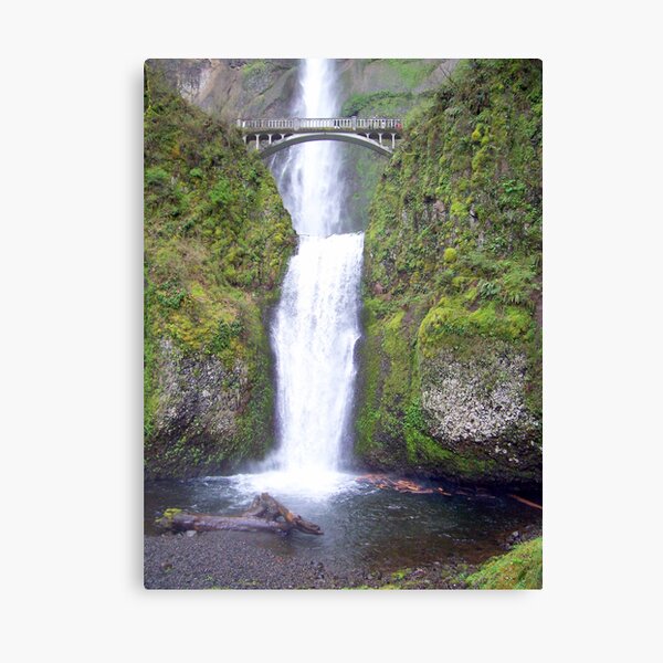 Multnomah Falls II Canvas Print
