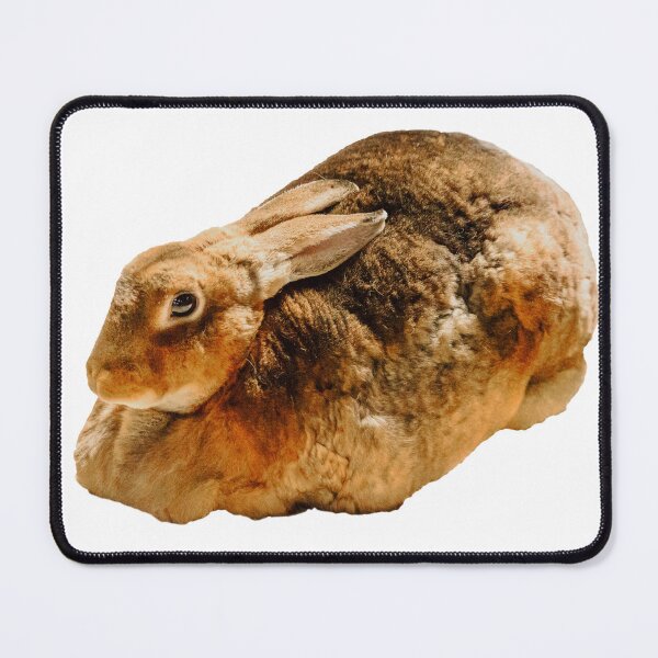 Item preview, Rex Rabbit designed and sold by Dalyndigital Photography.