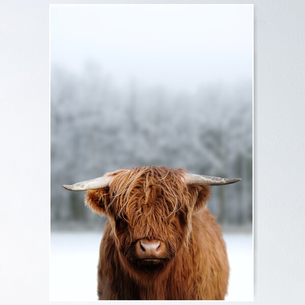 Vista previa del artículo con la obra «Vaca escocesa de las tierras altas en la nieve», diseñado y vendido por Craft DartCO.