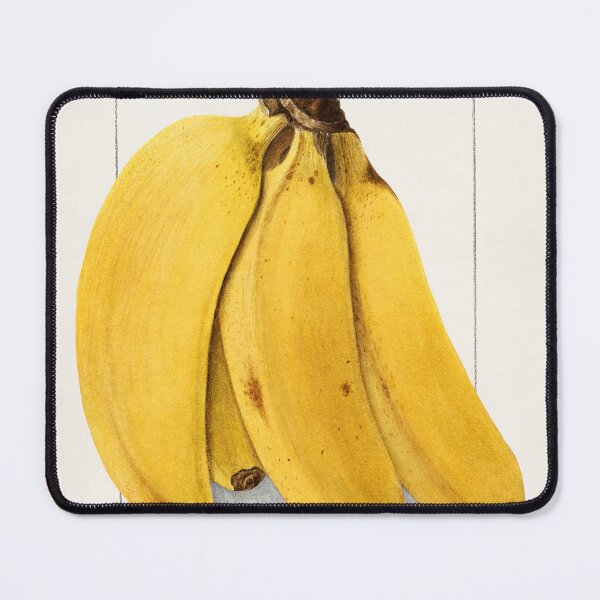 Aperçu de l'œuvre Bananes (Musa) (1904) d'Ellen Isham Schutt. Impression d'art créée et vendue par TSLAB.
