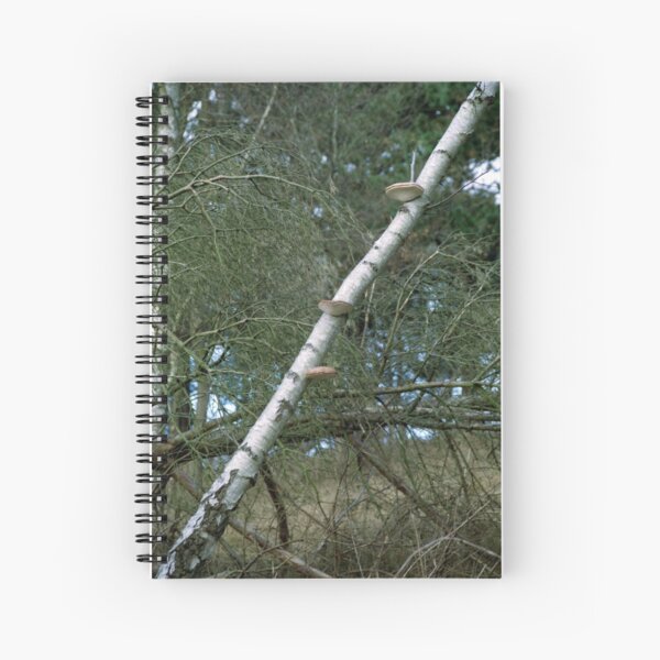 Tree Fungus Spiral Notebook
