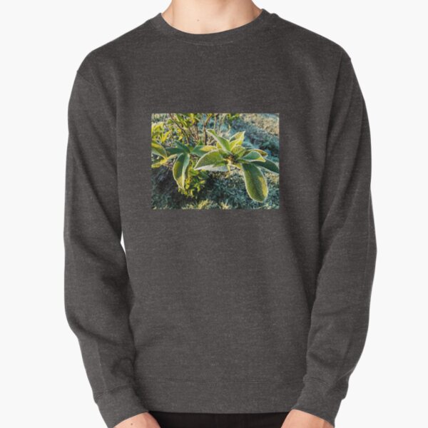 Wakening too late ! Sweatshirt épais