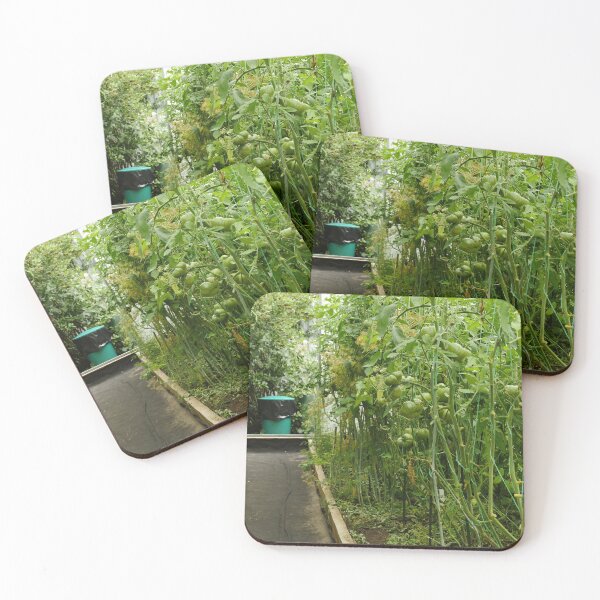Item preview, bushes of cucumbers and tomatoes inside the greenhouse designed and sold by mrivserg.