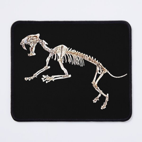 Item preview, cat skeleton designed and sold by Zanimations.
