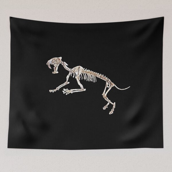 Item preview, cat skeleton designed and sold by Zanimations.