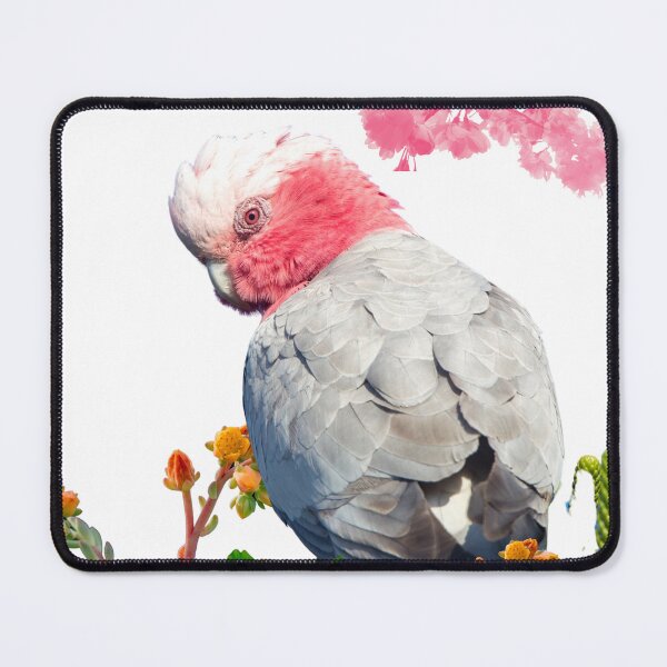 Item preview, Australian Animals- Australian Galah designed and sold by AshStylz.