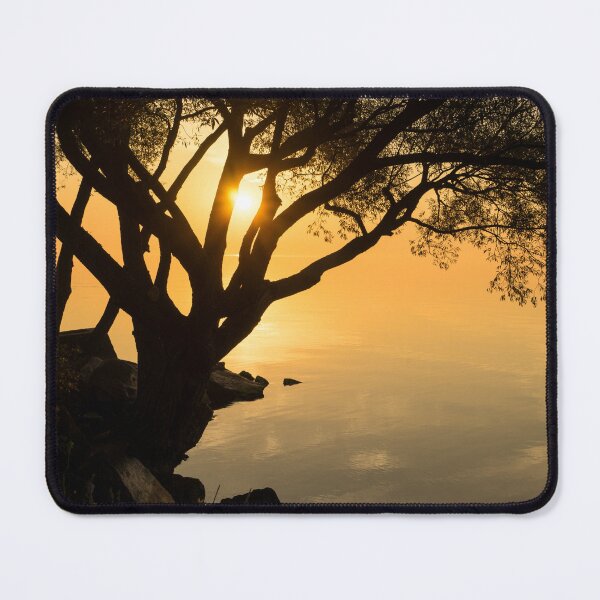 Item preview, Framed by Willows - Splendid Waterside Sunup on Lake Ontario in Toronto designed and sold by Georgia Mizuleva.