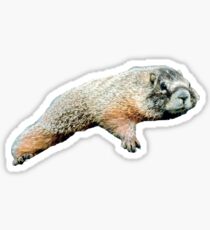 Murmeltier Sticker