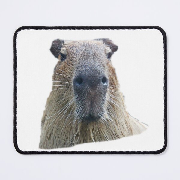 Item preview, The Capybara Granddad designed and sold by myuniquepet.
