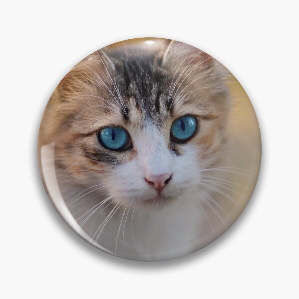 Aperçu de l'œuvre Chat aux yeux bleus créée et vendue par DeanMoxely.