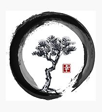 Japanese Pine Tree in Enso Zen Circle - Vintage Japanese Ink Photographic Print
