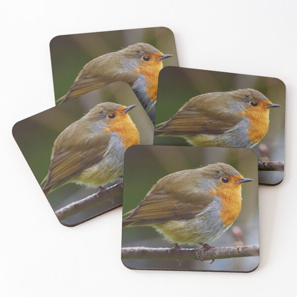 Item preview, Winter Robin  designed and sold by Neil MacNeill.