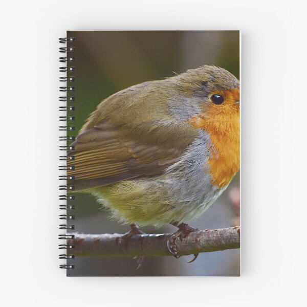 Item preview, Winter Robin  designed and sold by Neil MacNeill.