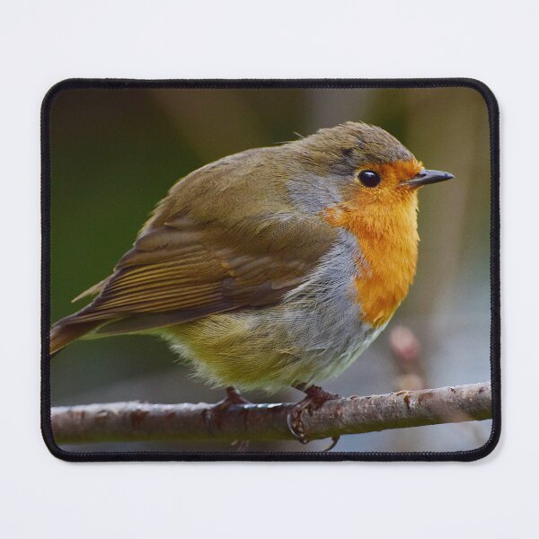 Item preview, Winter Robin designed and sold by Neil MacNeill.