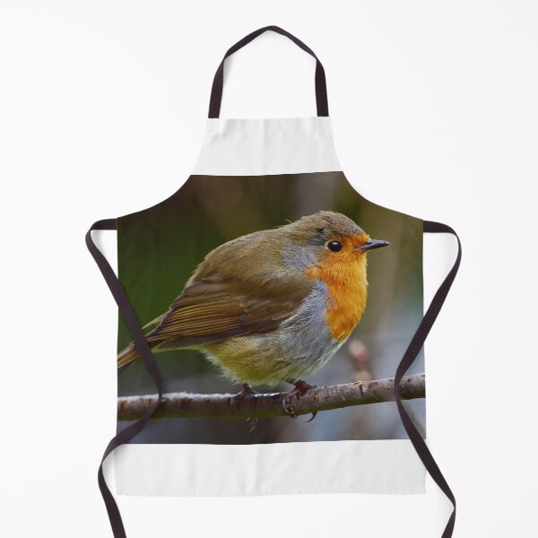Item preview, Winter Robin  designed and sold by Neil MacNeill.