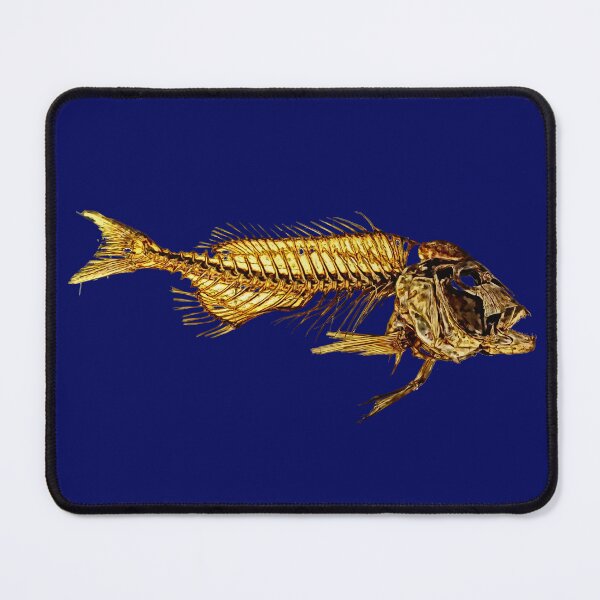 Item preview, fish skeleton designed and sold by Zanimations.