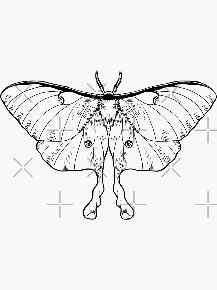 Luna moth sticker — ALPINE AYITA