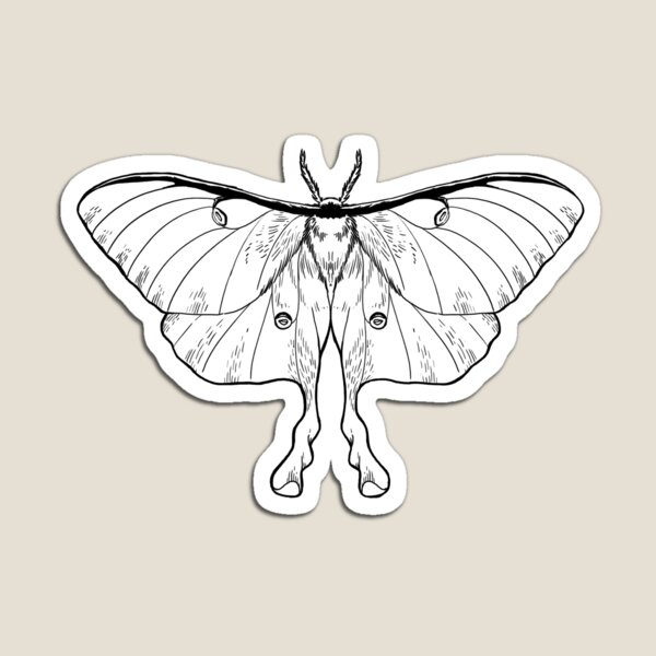 Luna Moth Magnet