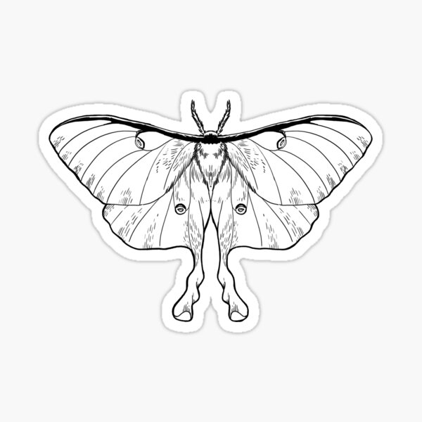 Luna Moth Pattern Stickers Redbubble