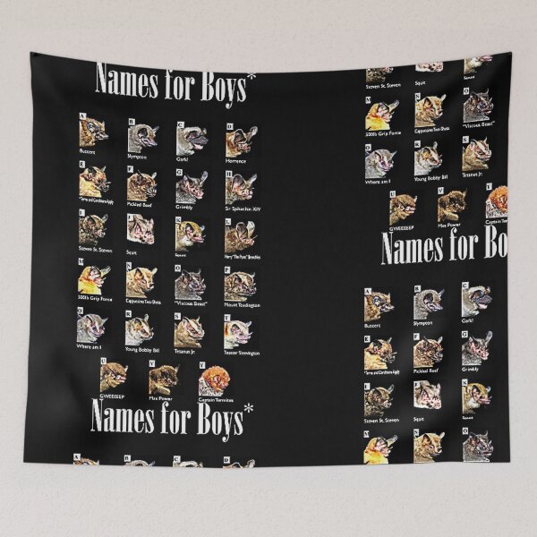 Item preview, Names for Boys designed and sold by Burgos Connolly.