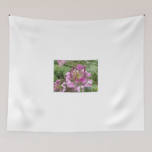 Item preview, Flower Close-Up, New York City designed and sold by lenspiro.