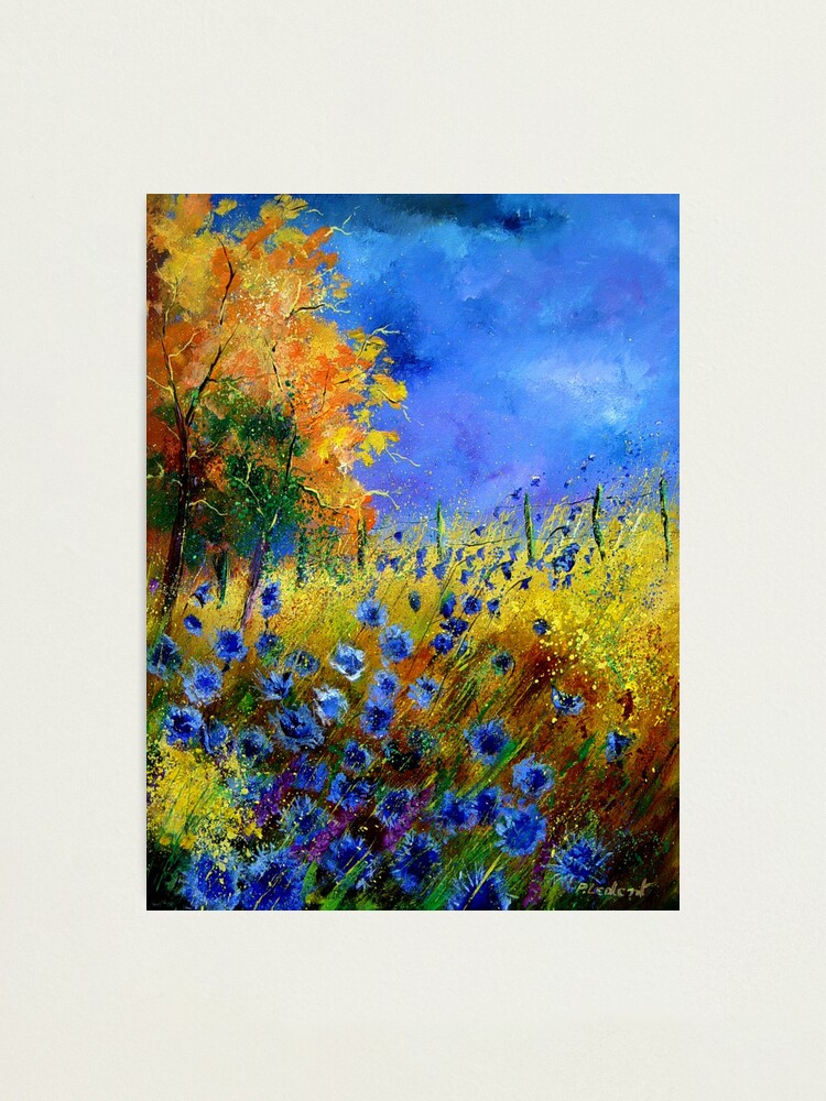 Alternate view of Blue cornflowers and orangetree Photographic Print