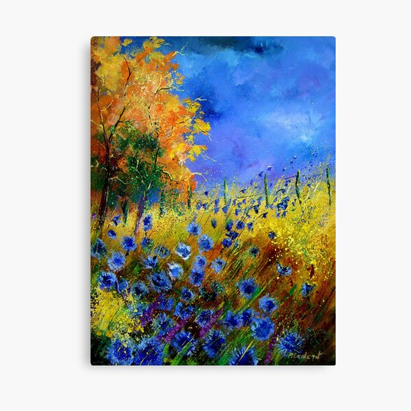 Discover Blue cornflowers and orangetree | Canvas Print