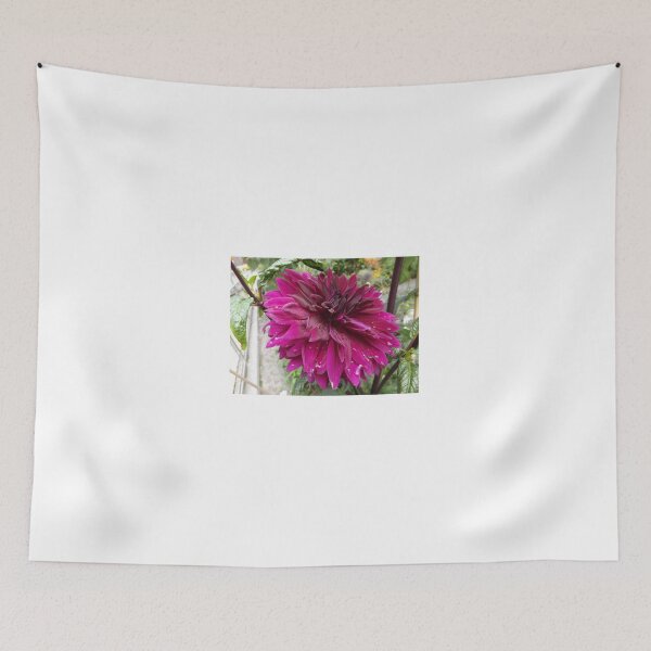 Item preview, Flower Close-Up, New York City designed and sold by lenspiro.