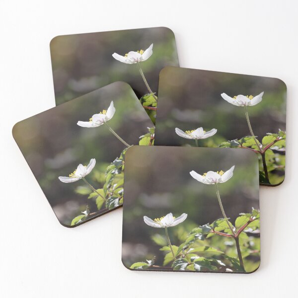 Item preview, Wood Anemone Close up Square designed and sold by Imladris01.