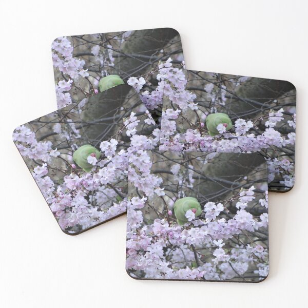 Item preview, Green Rose-ringed Parakeet eating pink cherry blossom designed and sold by TwistedClassics.
