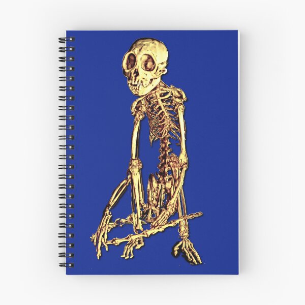 Item preview, monkey skeleton designed and sold by Zanimations.