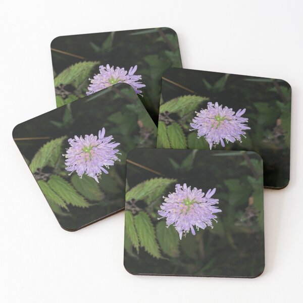 Item preview, nettle flower designed and sold by Louanne-B.
