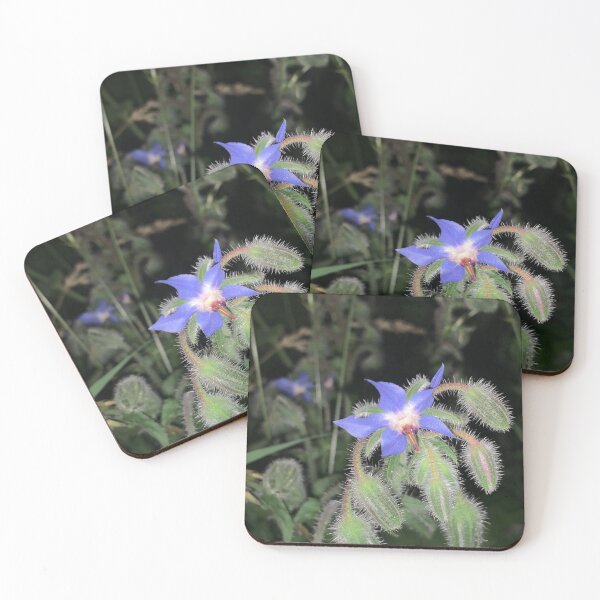 Item preview, borage flower designed and sold by Louanne-B.