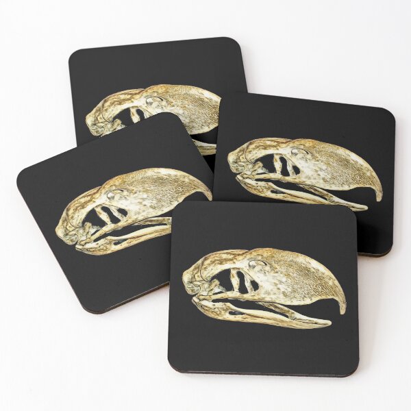 Item preview, parrot skull designed and sold by Zanimations.