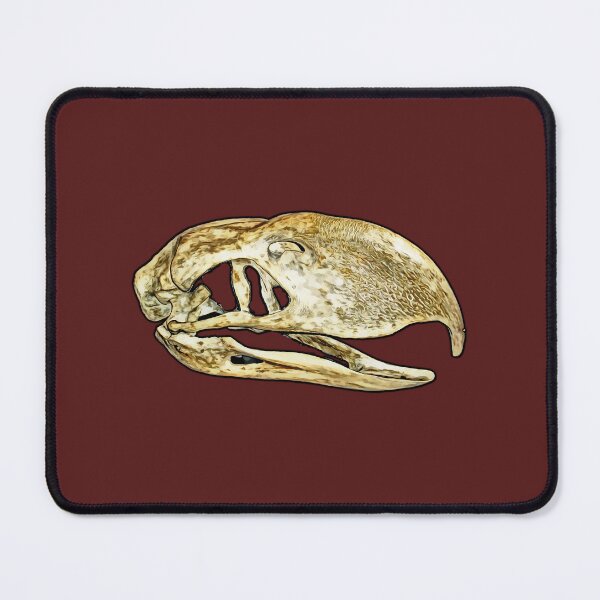 Item preview, parrot skull designed and sold by Zanimations.