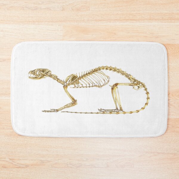 Item preview, domestic cat skeleton designed and sold by Zanimations.