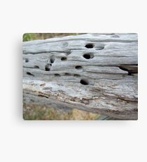 Termite Castle Canvas Print