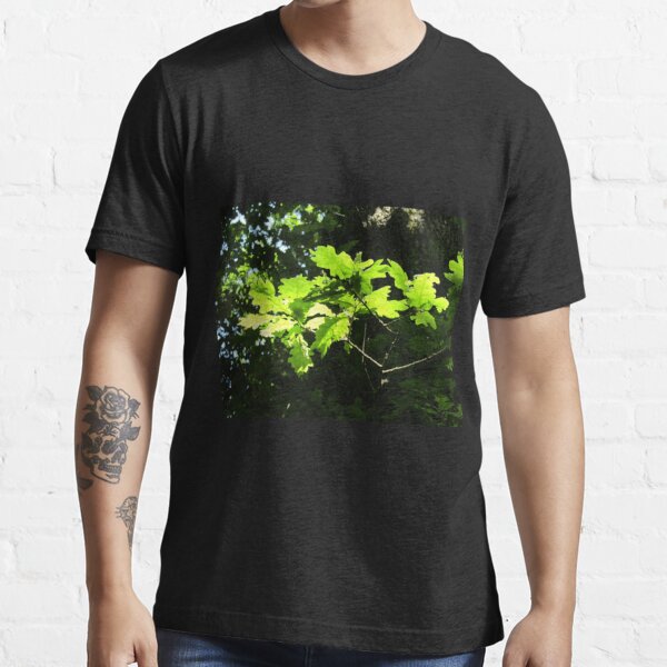 Oak leafs in Spring sunshine Classic . Essential T-Shirt