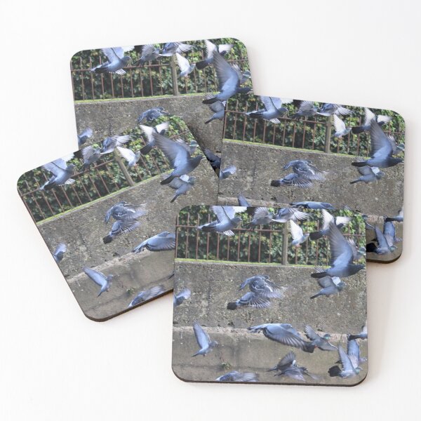 Item preview, Vuelo designed and sold by OTurnbullPhoto.