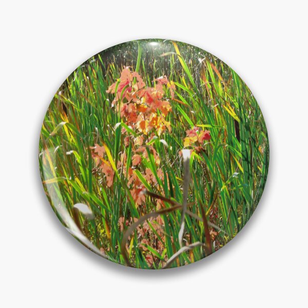 Item preview, Reeds in the Mer Bleue, Ottawa, ON designed and sold by Shulie1.