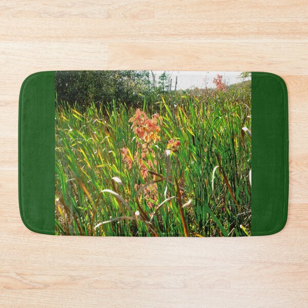 Item preview, Reeds in the Mer Bleue, Ottawa, ON designed and sold by Shulie1.