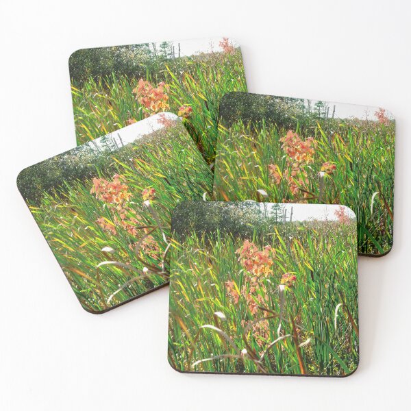 Item preview, Reeds in the Mer Bleue, Ottawa, ON designed and sold by Shulie1.