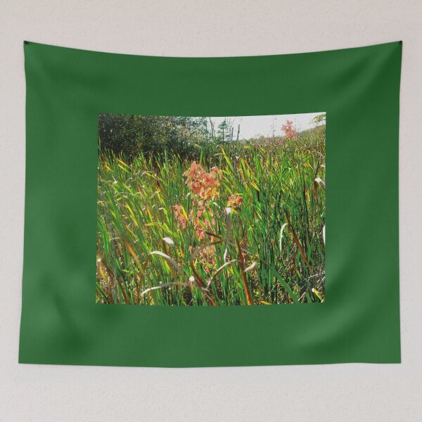 Item preview, Reeds in the Mer Bleue, Ottawa, ON designed and sold by Shulie1.